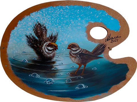 Palette Sparrows Summer