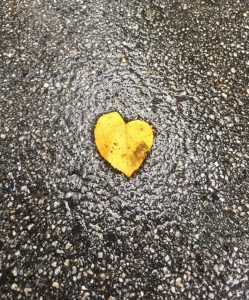 22308778 10154659823431572 7356501631610151962 n