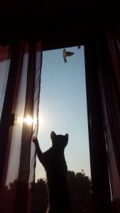 20170806 081522 e1507460320986