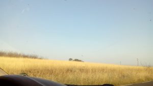 Преди... 1 20170630 192449