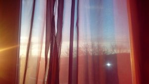 26171340 10156058099387500 2209560111978385451 o