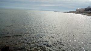 29064398 10156327237762500 3777552650073887595 o