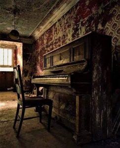 45726687 10213230171970275 4008140377721667584 n