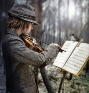 11070800 10204027475628618 7811456521891342226 n