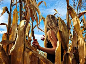 70241839 10157636549952500 4338115001312083968 n