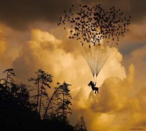 118998032 10158824830202500 2102718097040976417 n