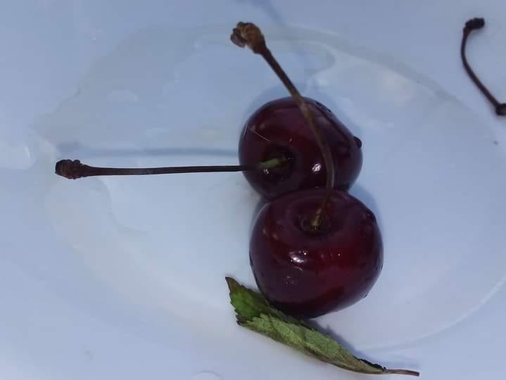 216936808 10159589899022500 6100985414132930050 n