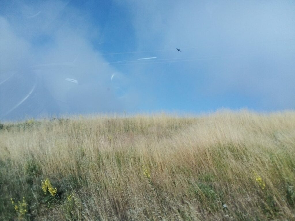 217895139 10159601803737500 189254953612278949 n 1