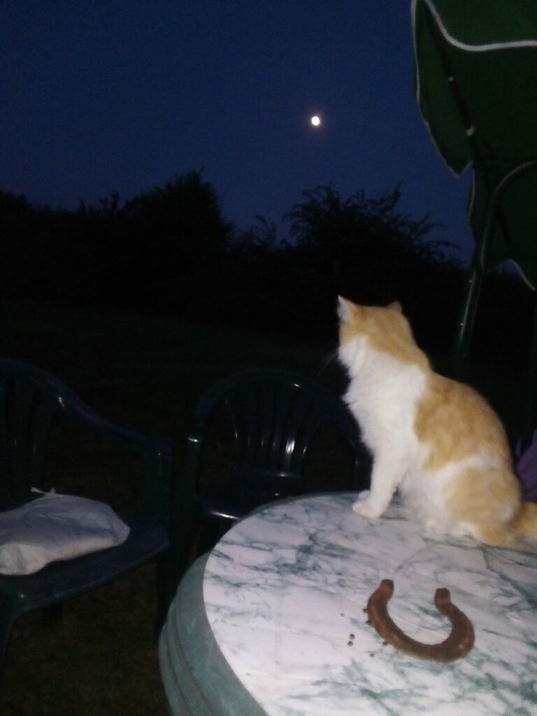 220229408 10159614133792500 4641254506610735554 n 1