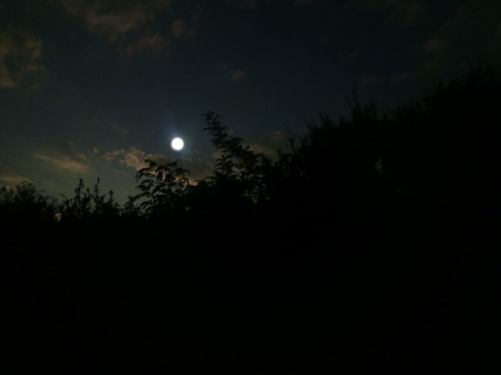 239953774 10159682070982500 3504067904004937787 n 1