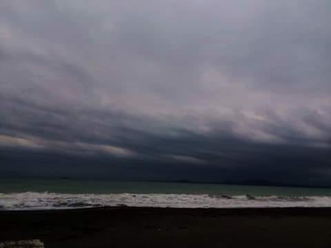 272154144 10159965376617500 4571445821009115591 n 1