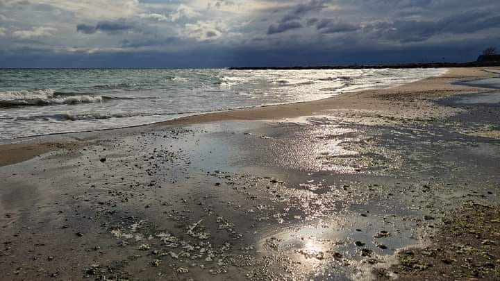 белия свят райна вл